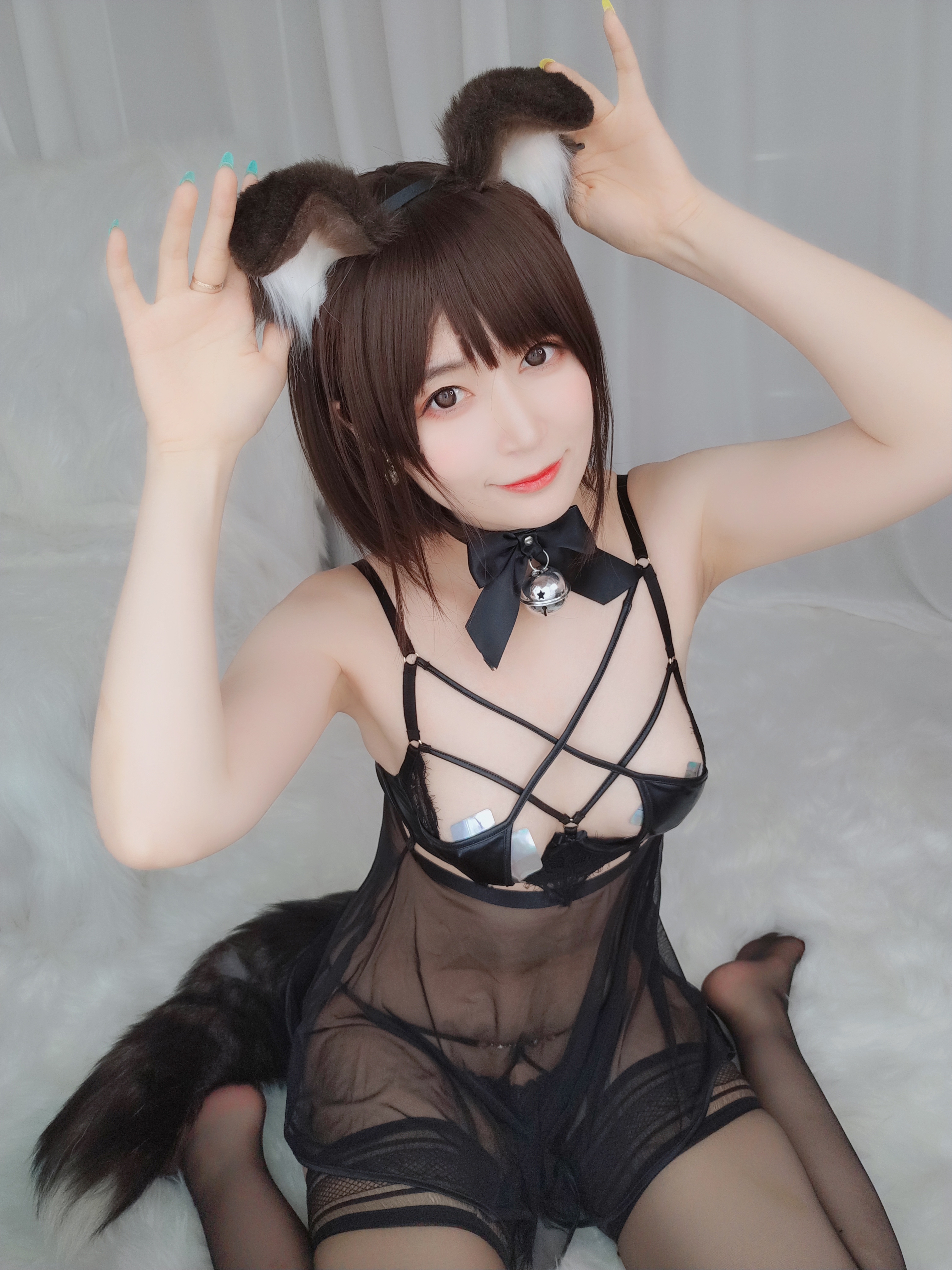 amateur photo Baiyin811 (白银81) - 折耳狗 (11)