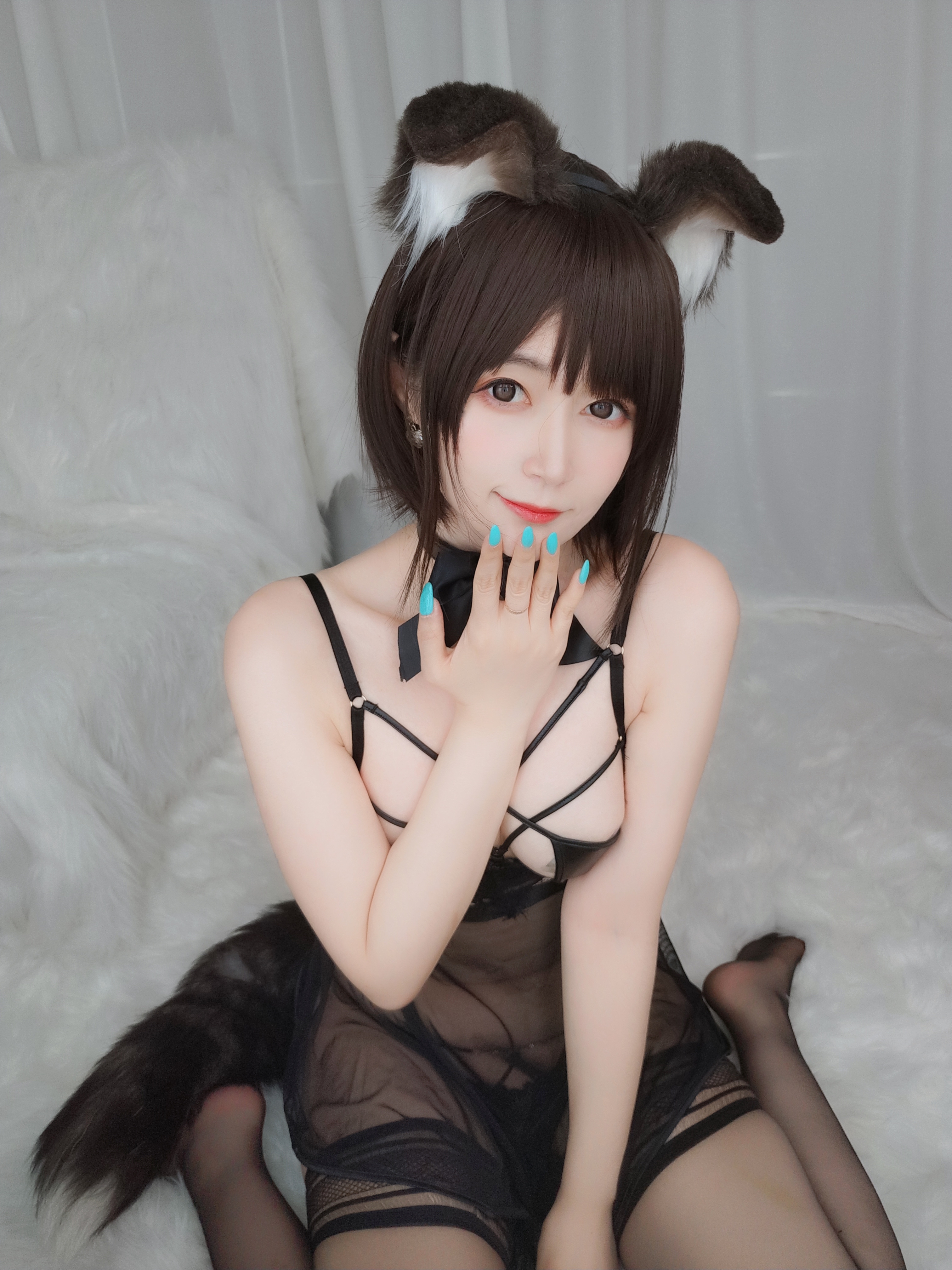 amateur photo Baiyin811 (白银81) - 折耳狗 (12)