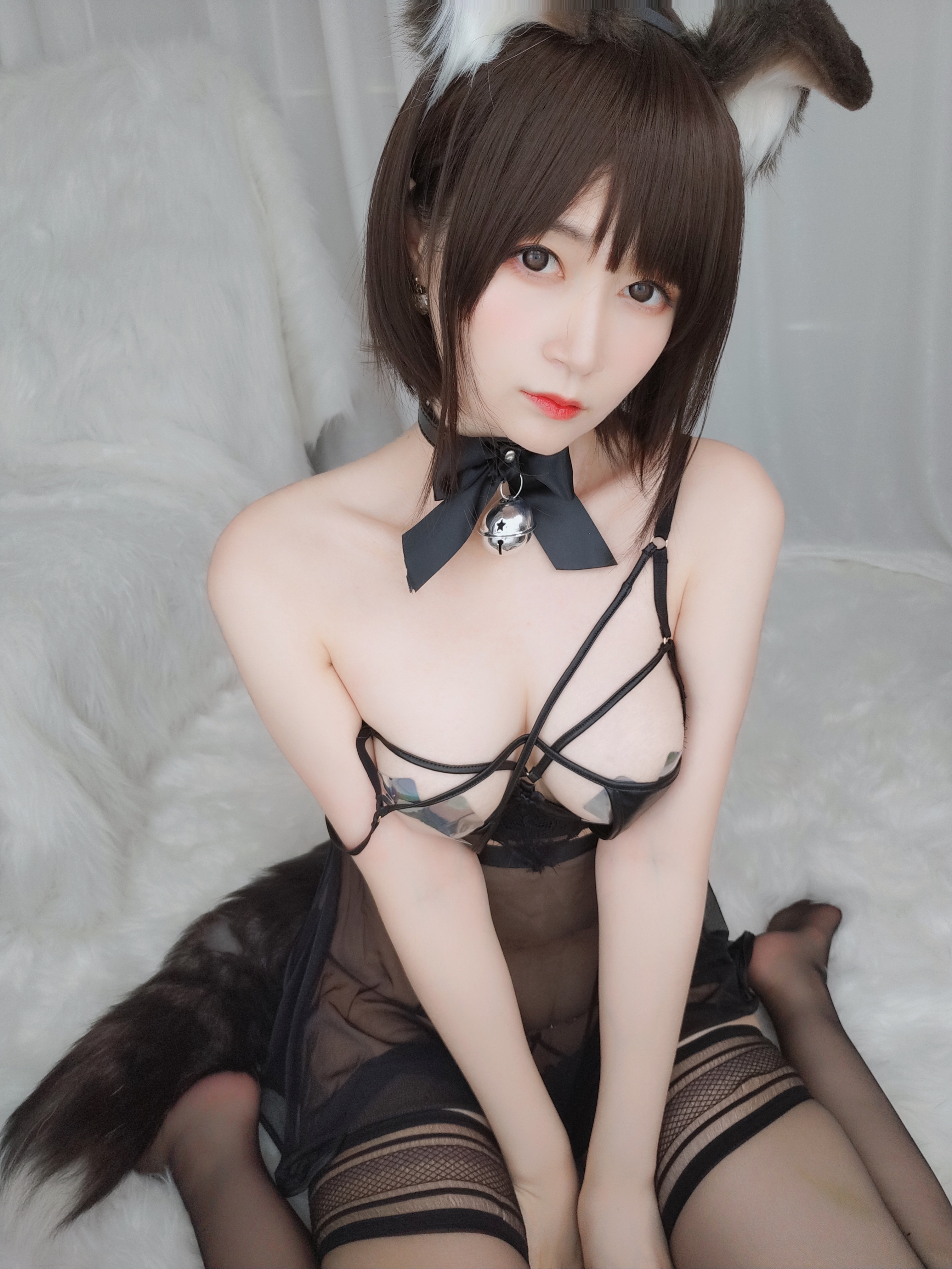 amateur photo Baiyin811 (白银81) - 折耳狗 (17)