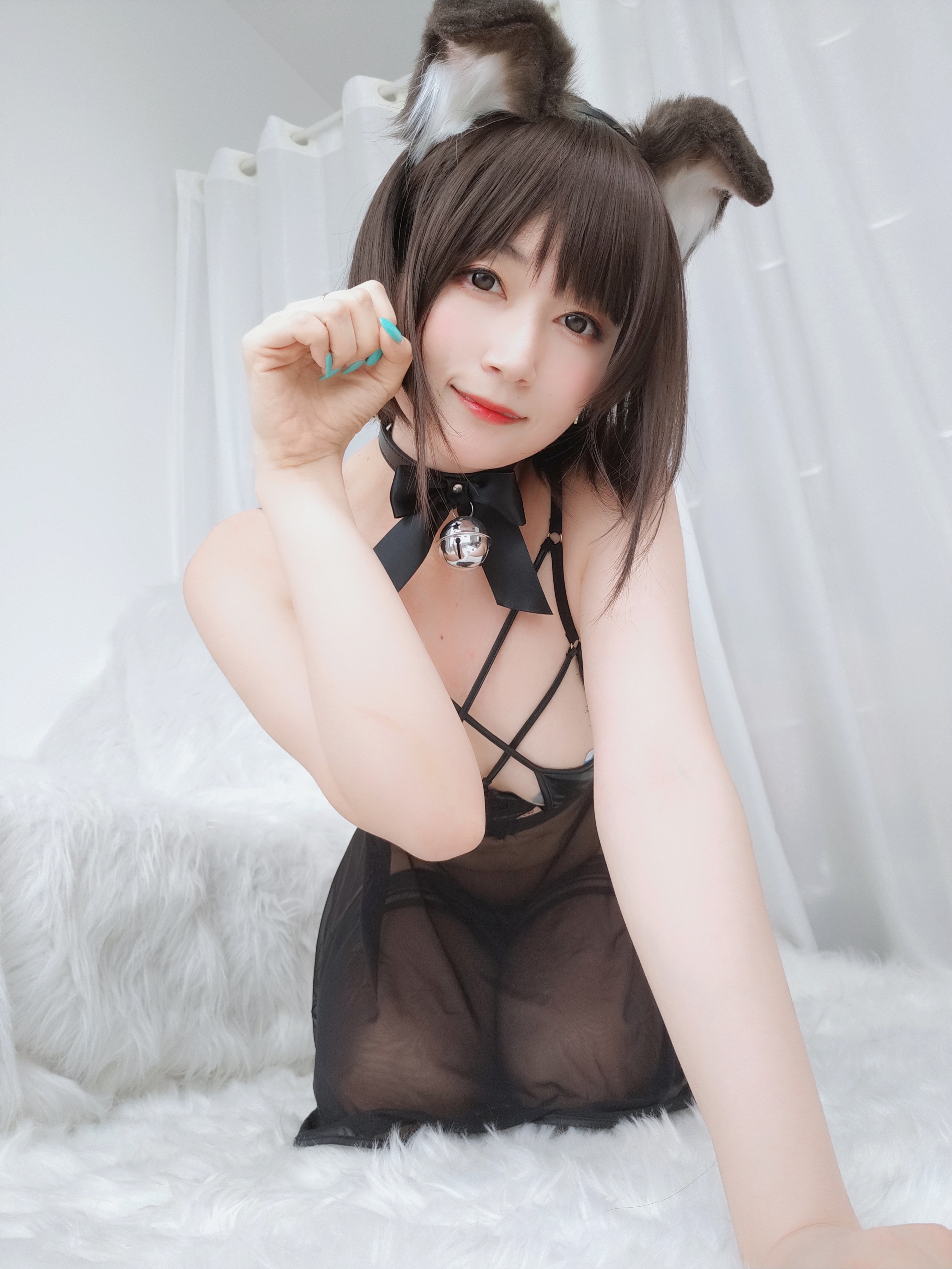 amateur photo Baiyin811 (白银81) - 折耳狗 (32)