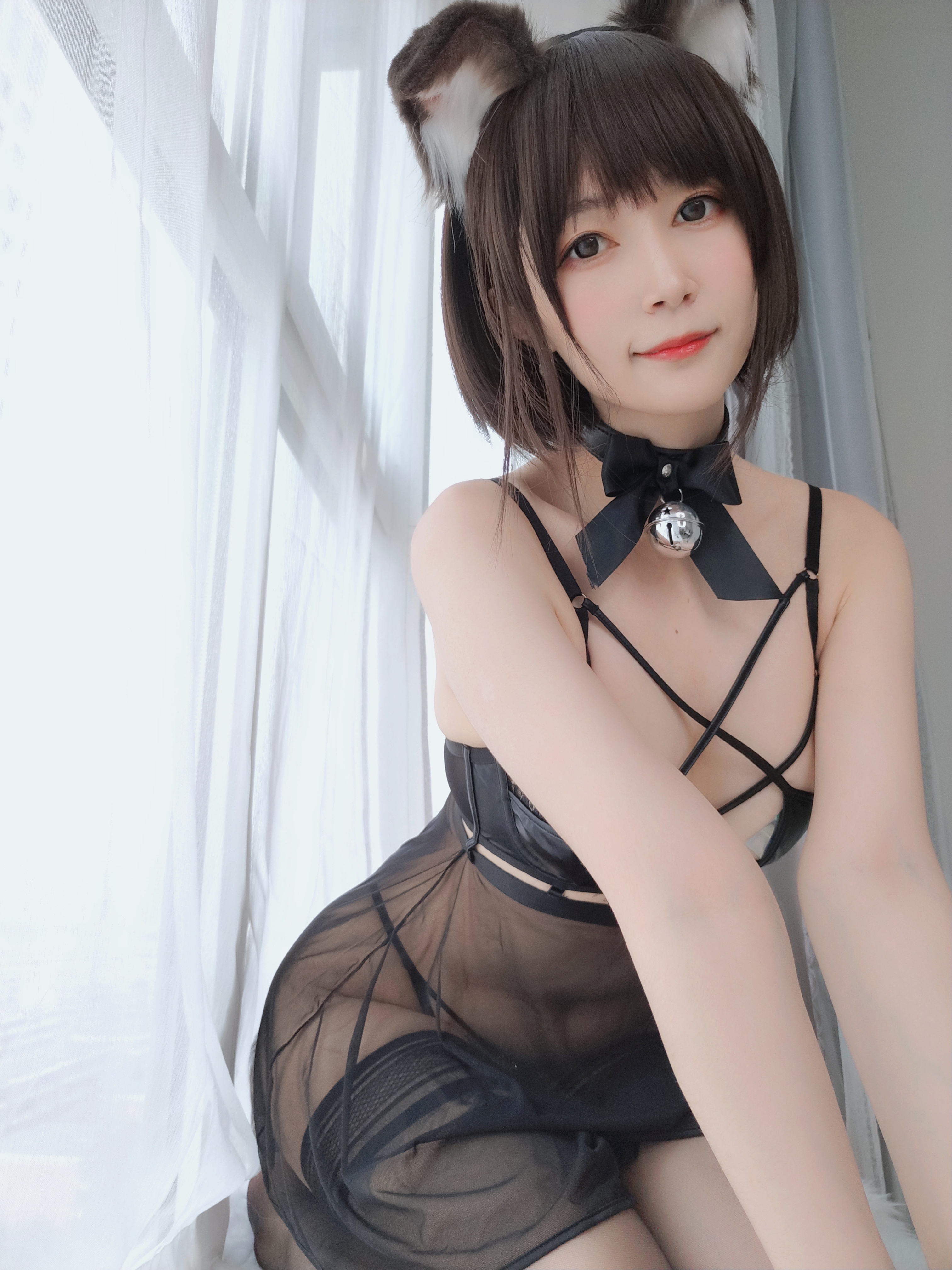 amateur photo Baiyin811 (白银81) - 折耳狗 (43)