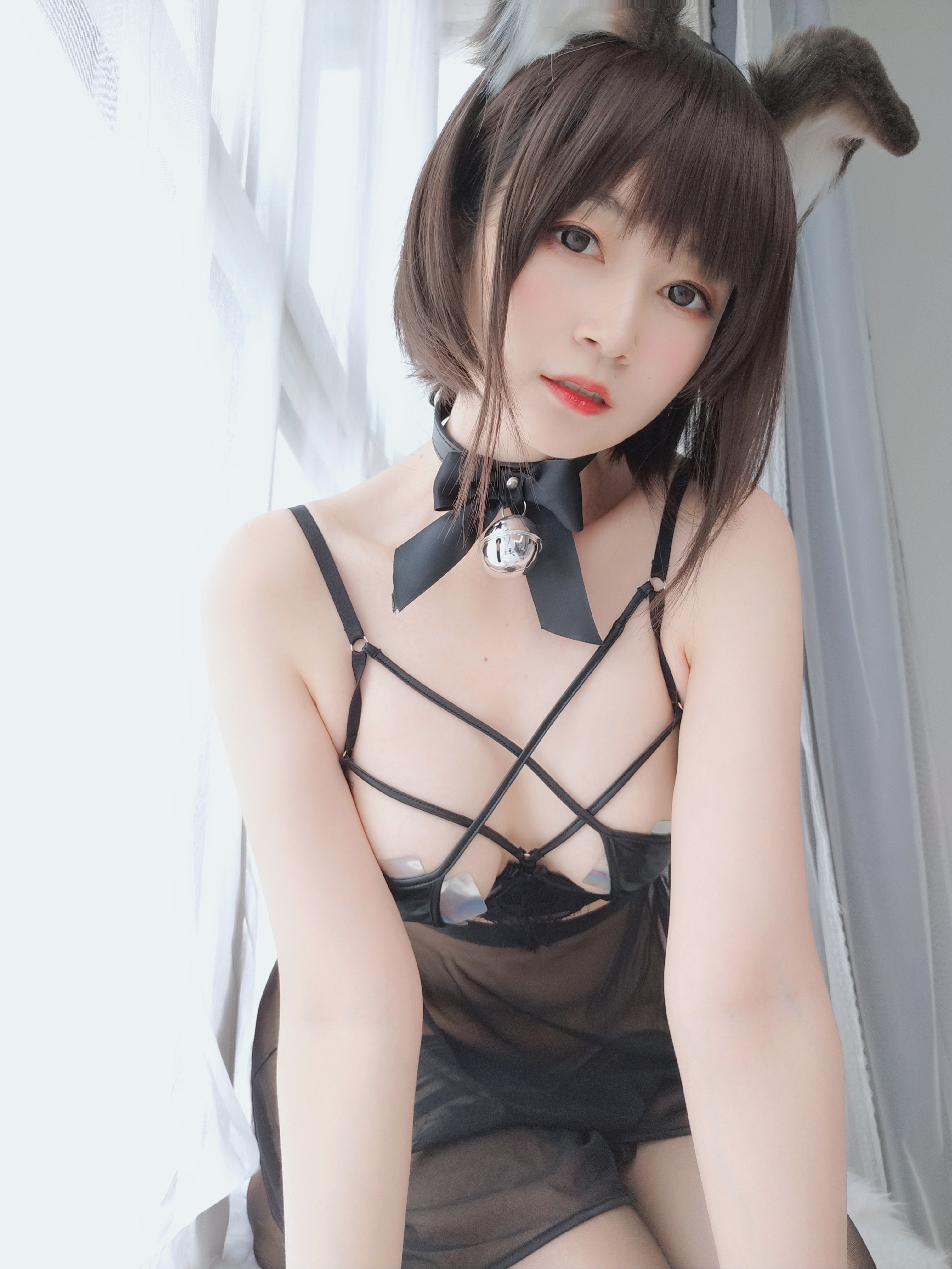 amateur photo Baiyin811 (白银81) - 折耳狗 (44)