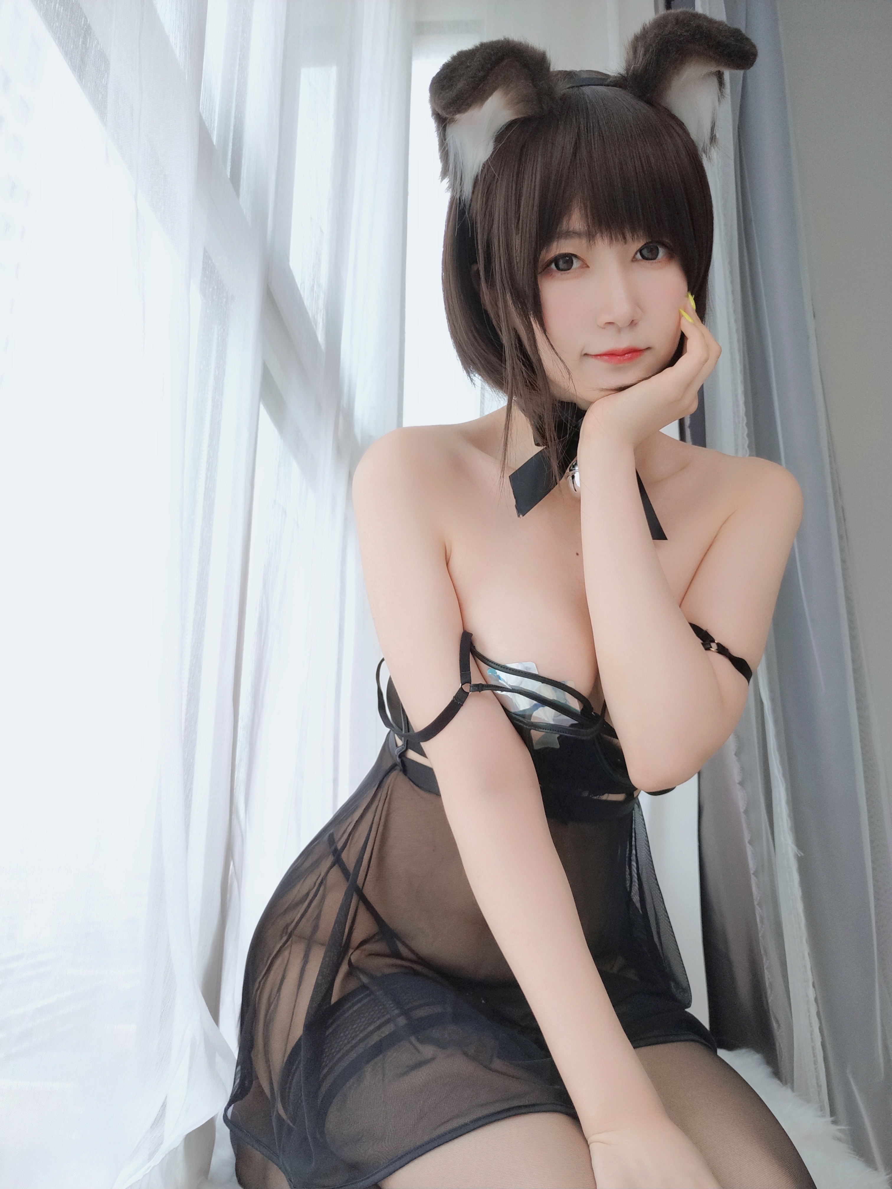 amateur photo Baiyin811 (白银81) - 折耳狗 (49)