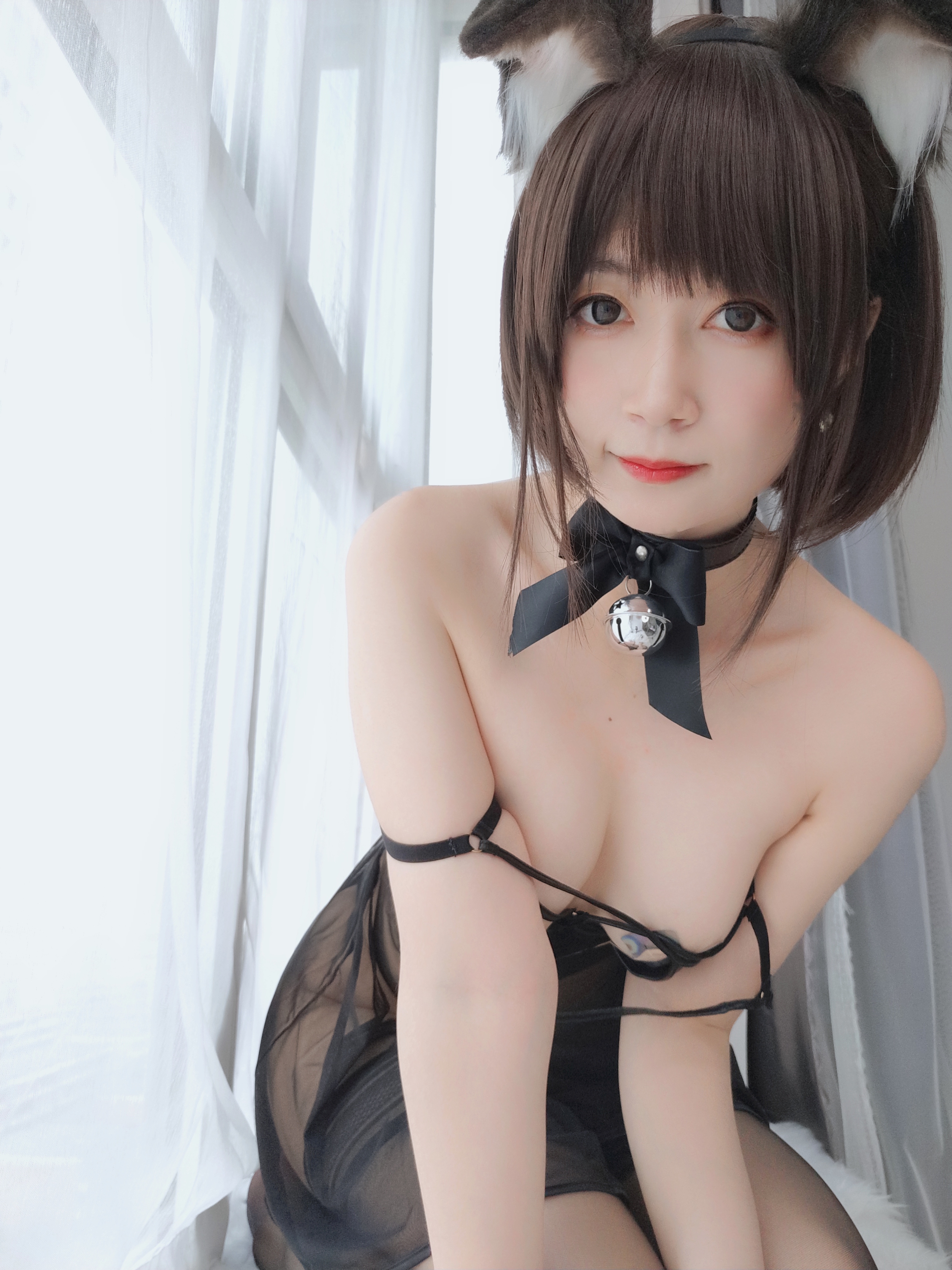 amateur photo Baiyin811 (白银81) - 折耳狗 (51)