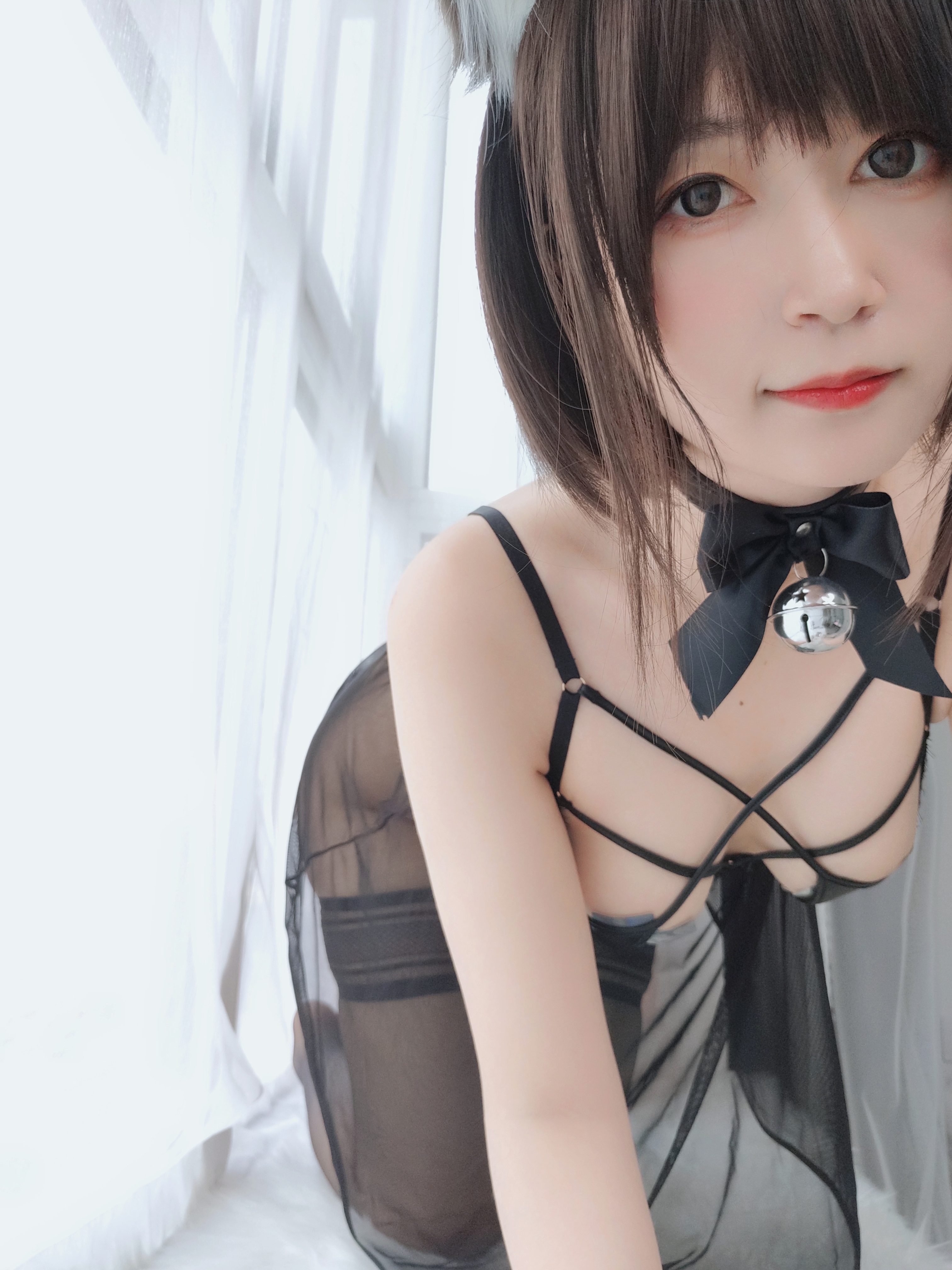 amateur photo Baiyin811 (白银81) - 折耳狗 (55)