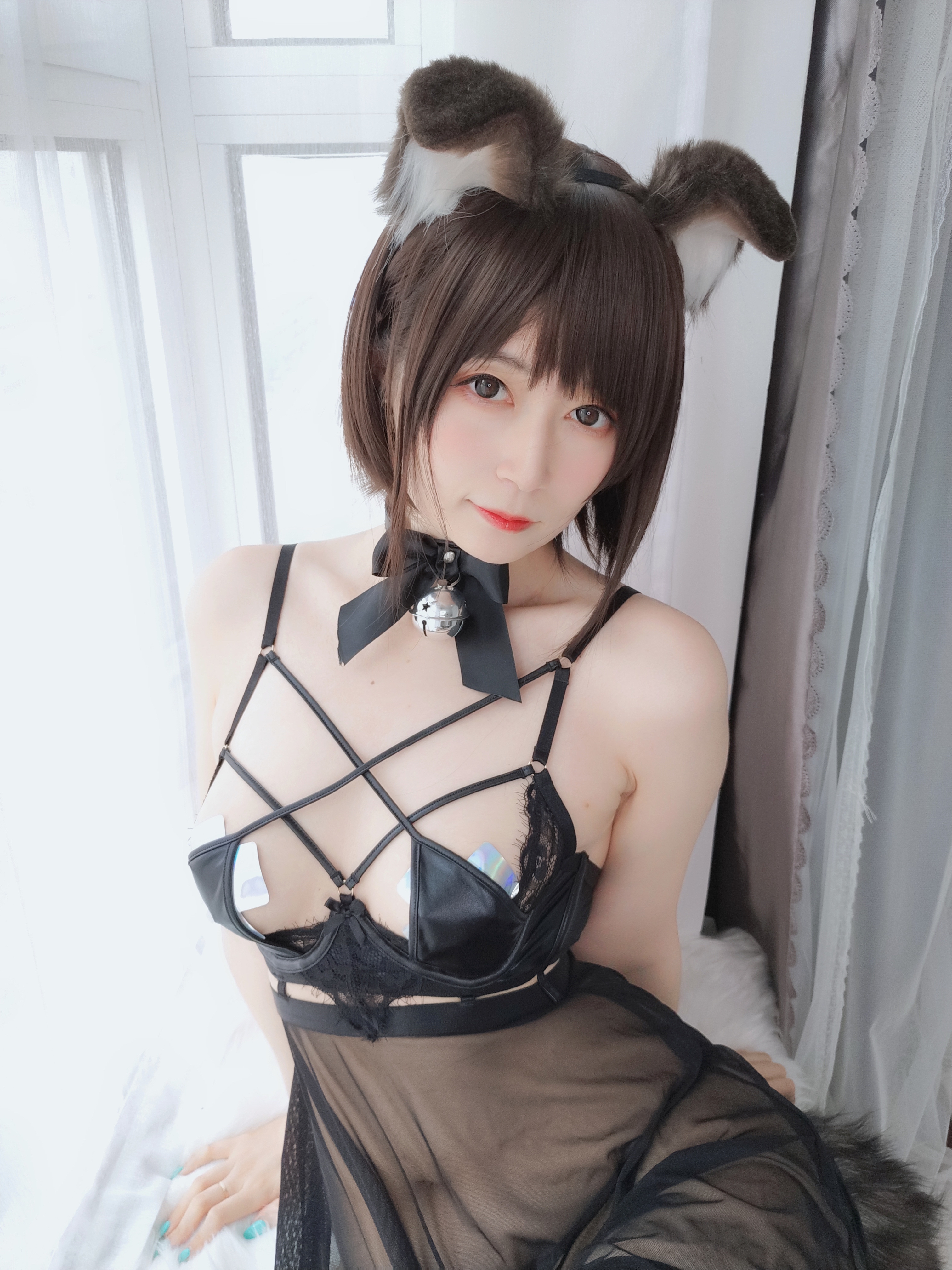 amateur photo Baiyin811 (白银81) - 折耳狗 (72)