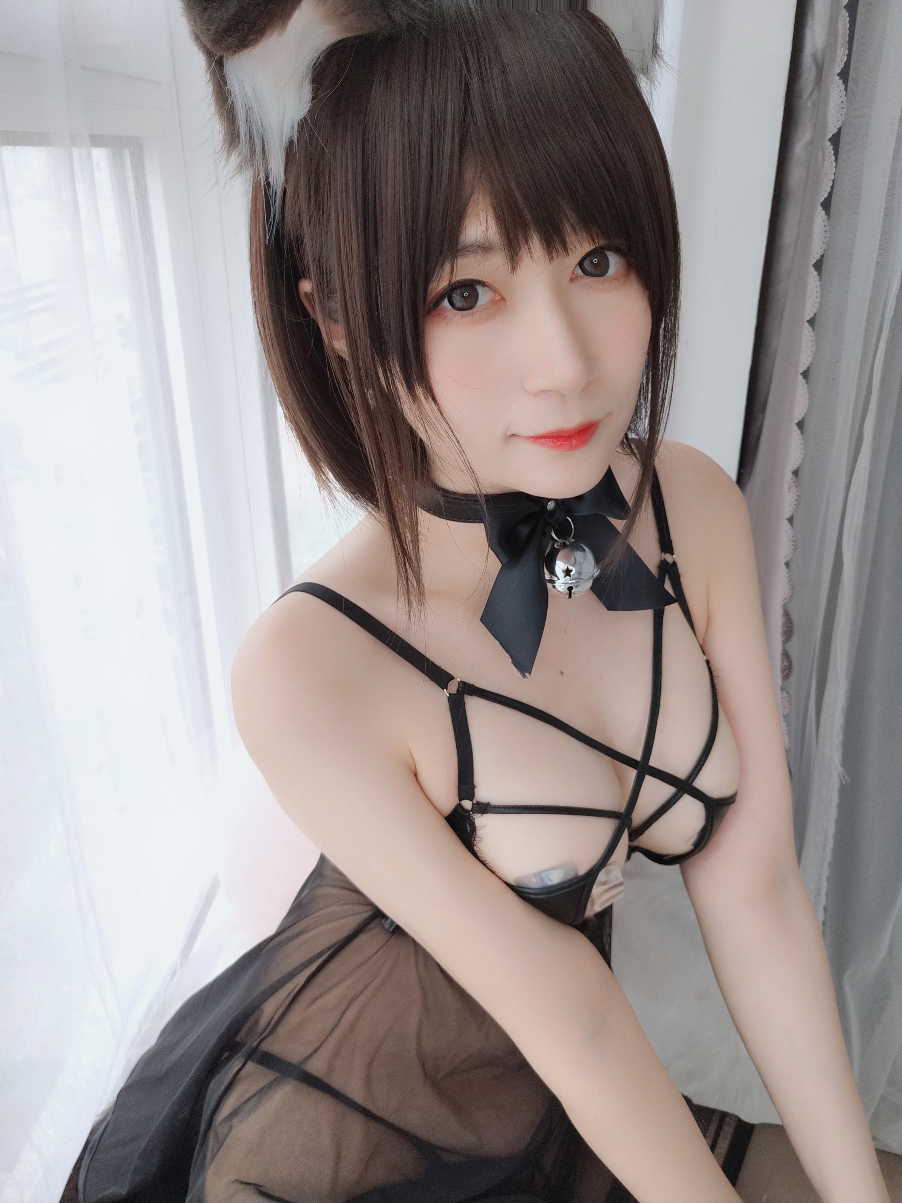 amateur photo Baiyin811 (白银81) - 折耳狗 (73)