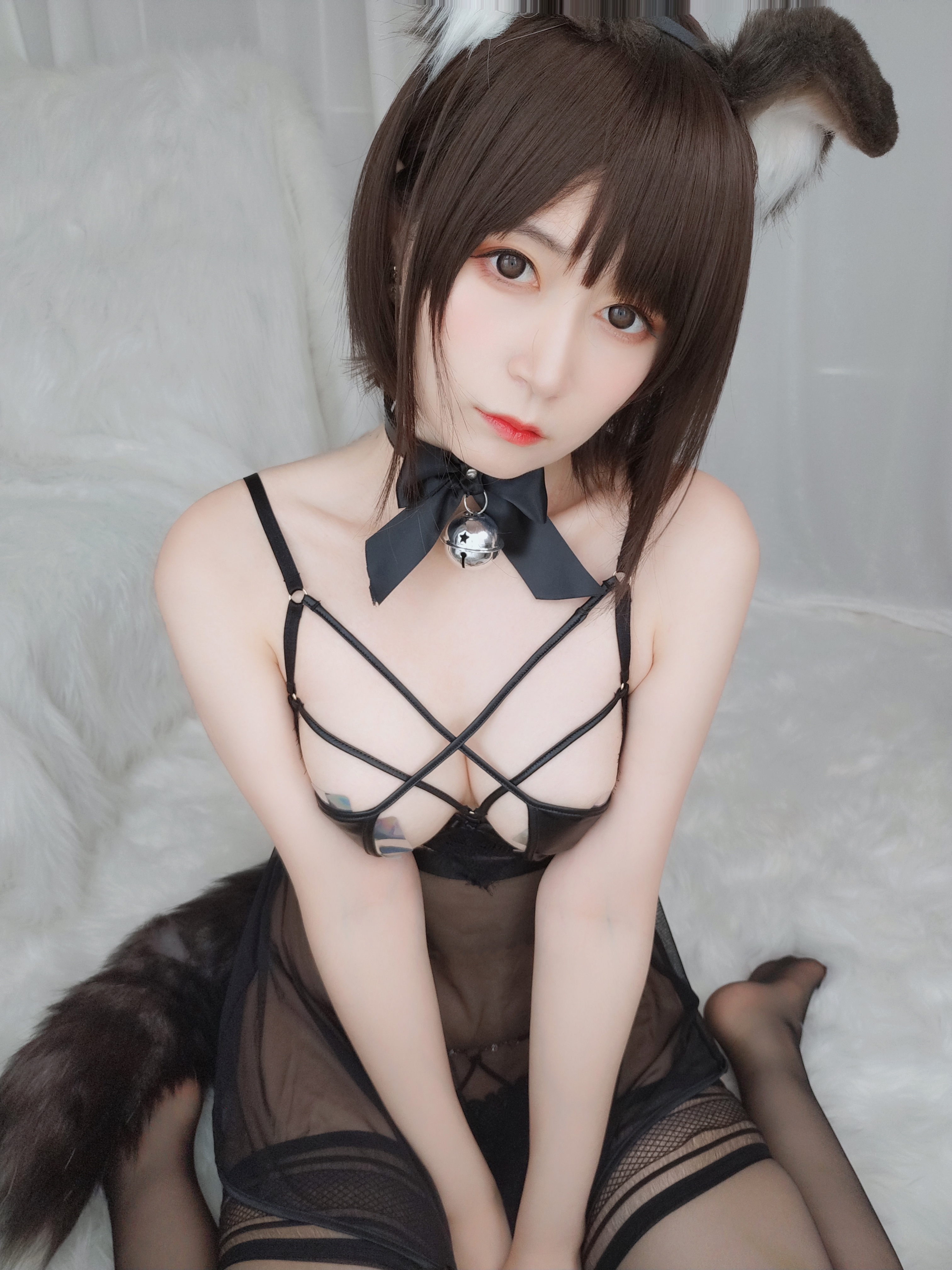 amateur photo Baiyin811 (白银81) - 折耳狗 (75)