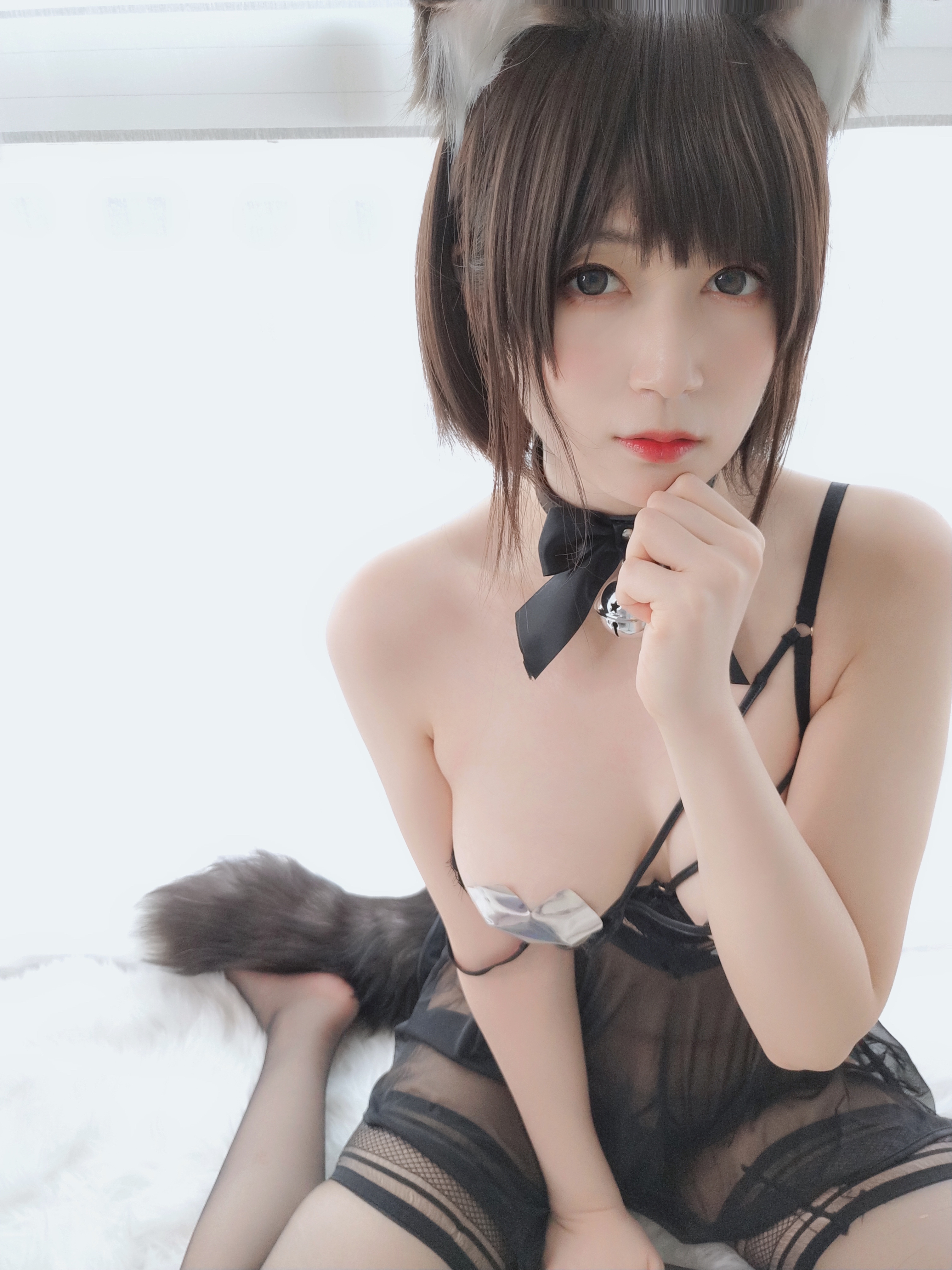 amateur photo Baiyin811 (白银81) - 折耳狗 (82)