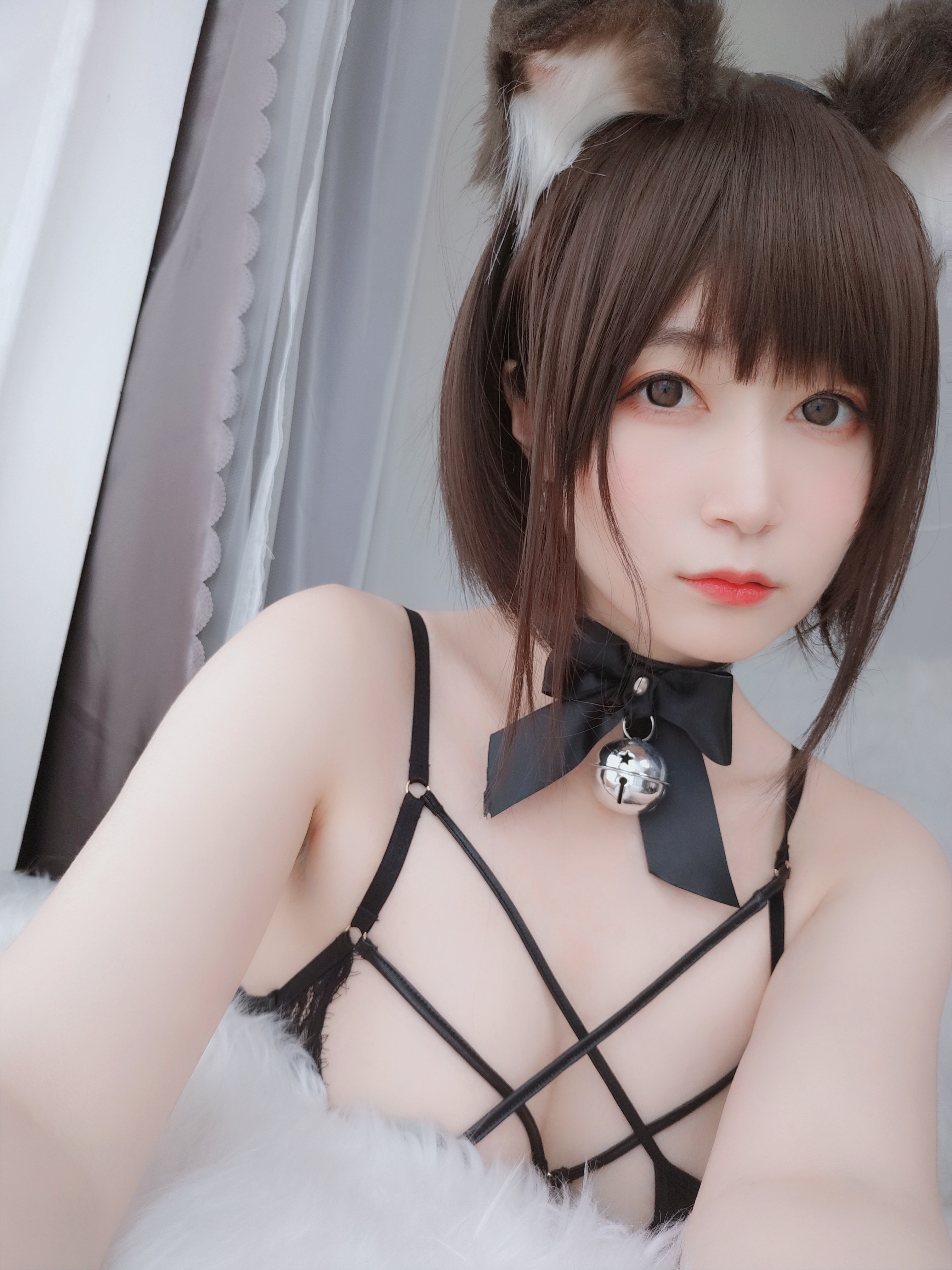 amateur photo Baiyin811 (白银81) - 折耳狗 (87)