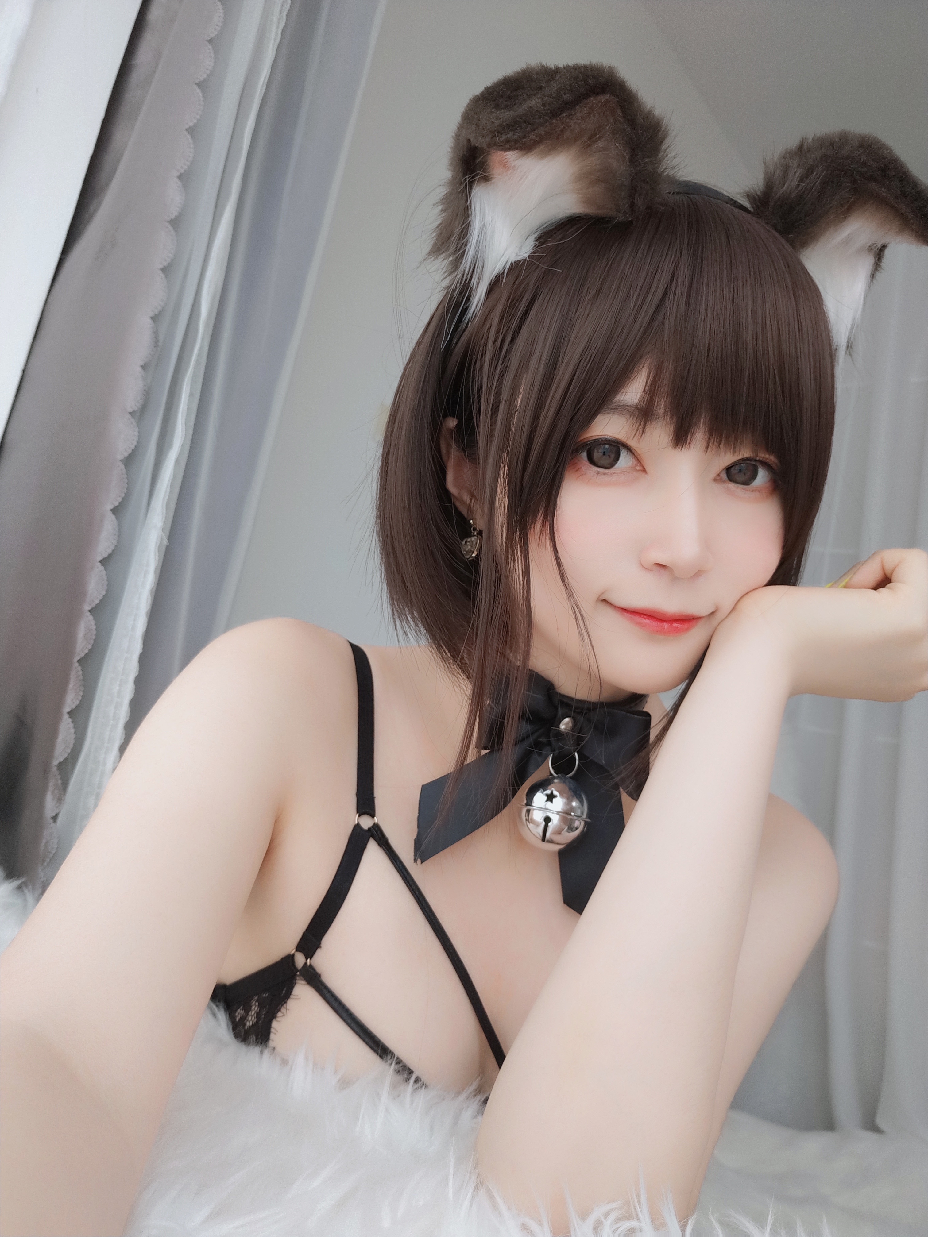 amateur photo Baiyin811 (白银81) - 折耳狗 (88)