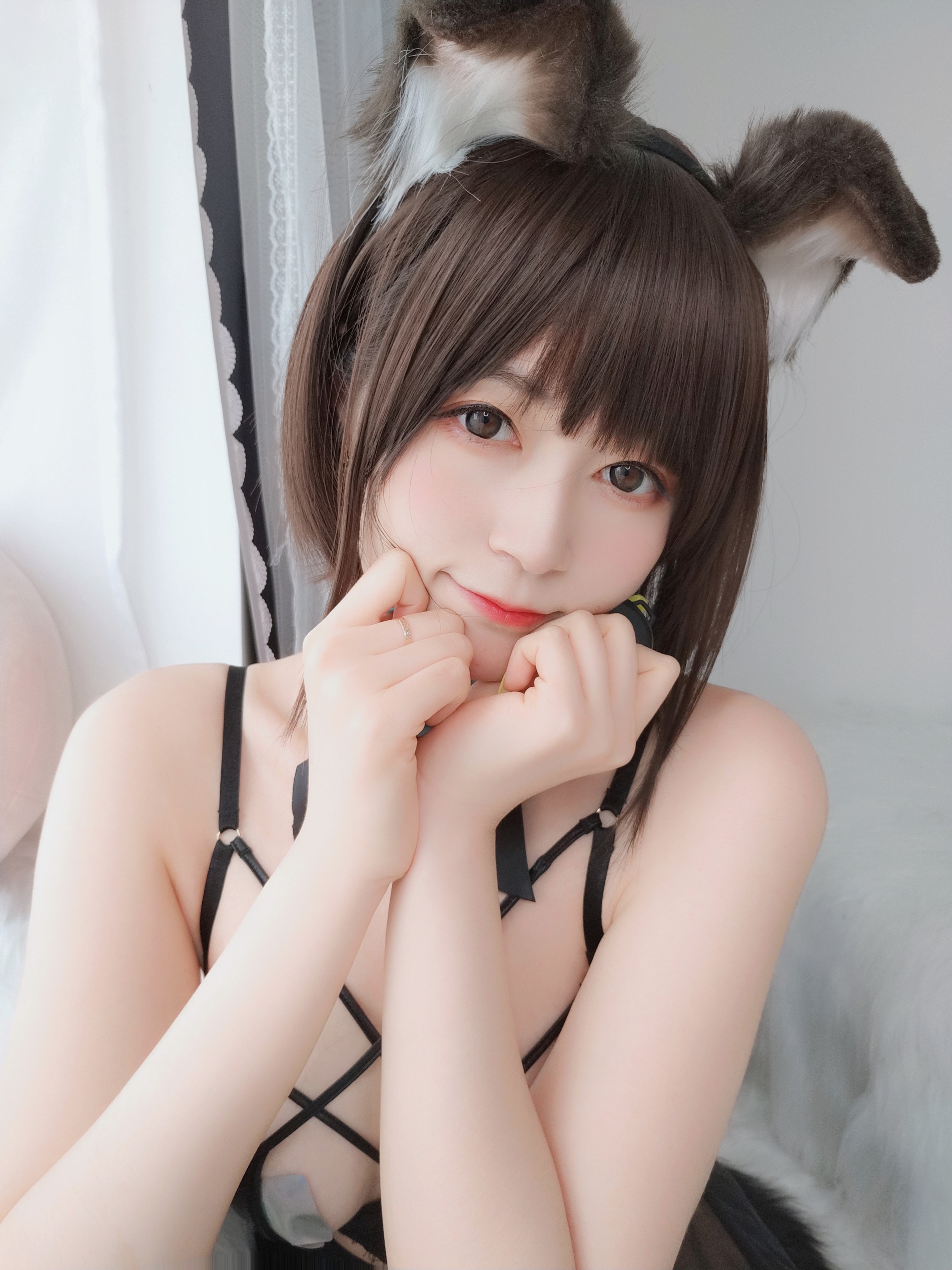 amateur photo Baiyin811 (白银81) - 折耳狗 (91)