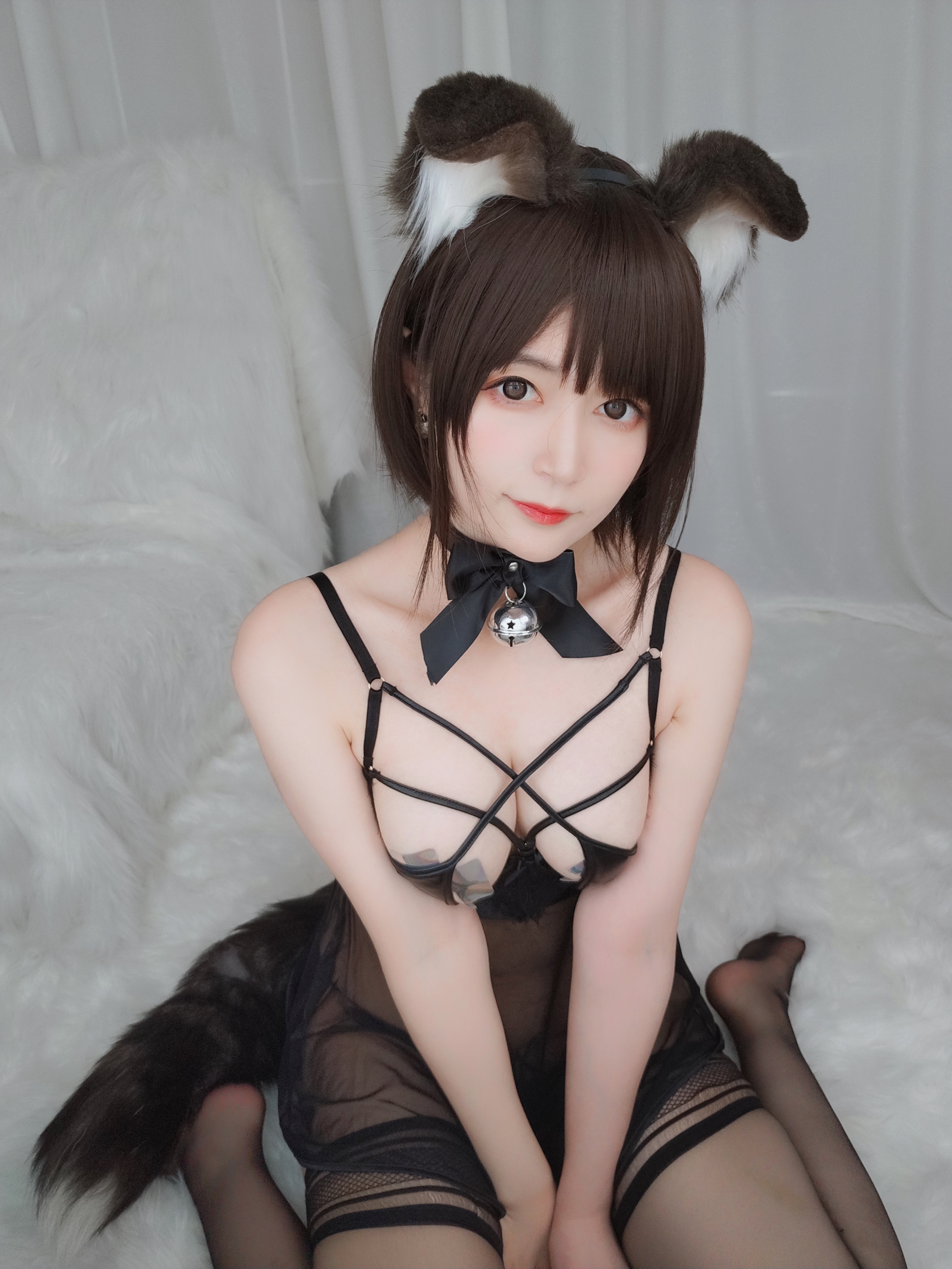 amateur photo Baiyin811 (白银81) - 折耳狗 (97)