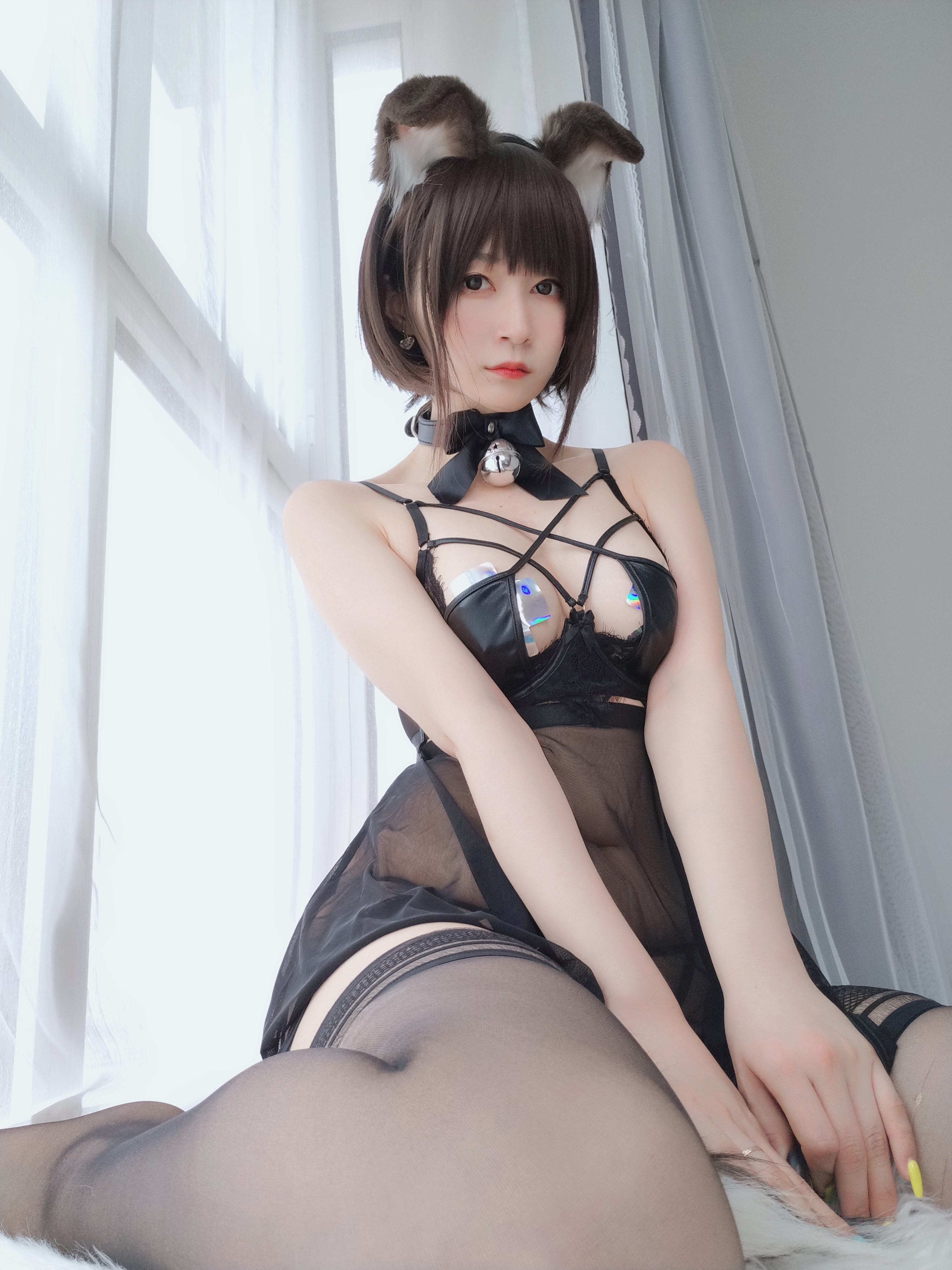 amateur photo Baiyin811 (白银81) - 折耳狗 (98)