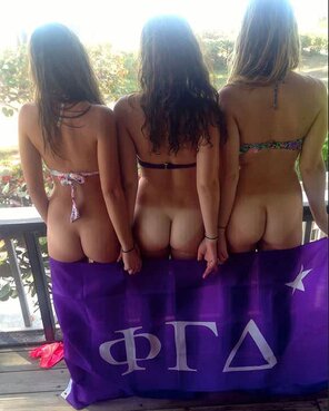 Phi Gamma Delta