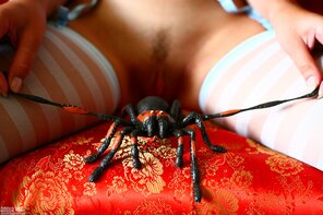 amateur pic AmourAngels-Yuliya-SpiderGirlr-0018