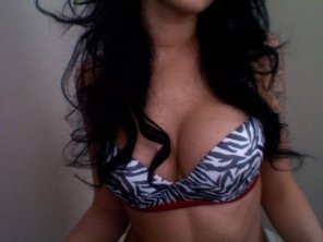 Zebra print bra