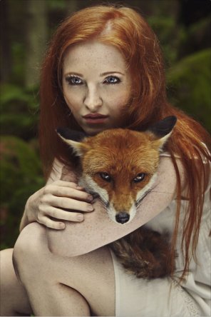 Alyssa Flames - Hair Canidae Beauty Red fox 