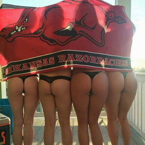 Arkansas RazorBacks