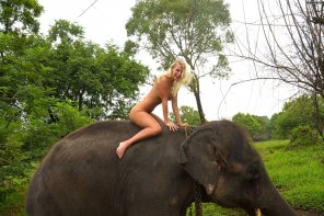 Happy blonde babe awkwardly riding an elephant