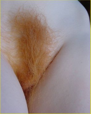 Orange tuft...