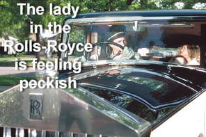 foto amateur The lady in the Rolls-Royce is feeling peckish