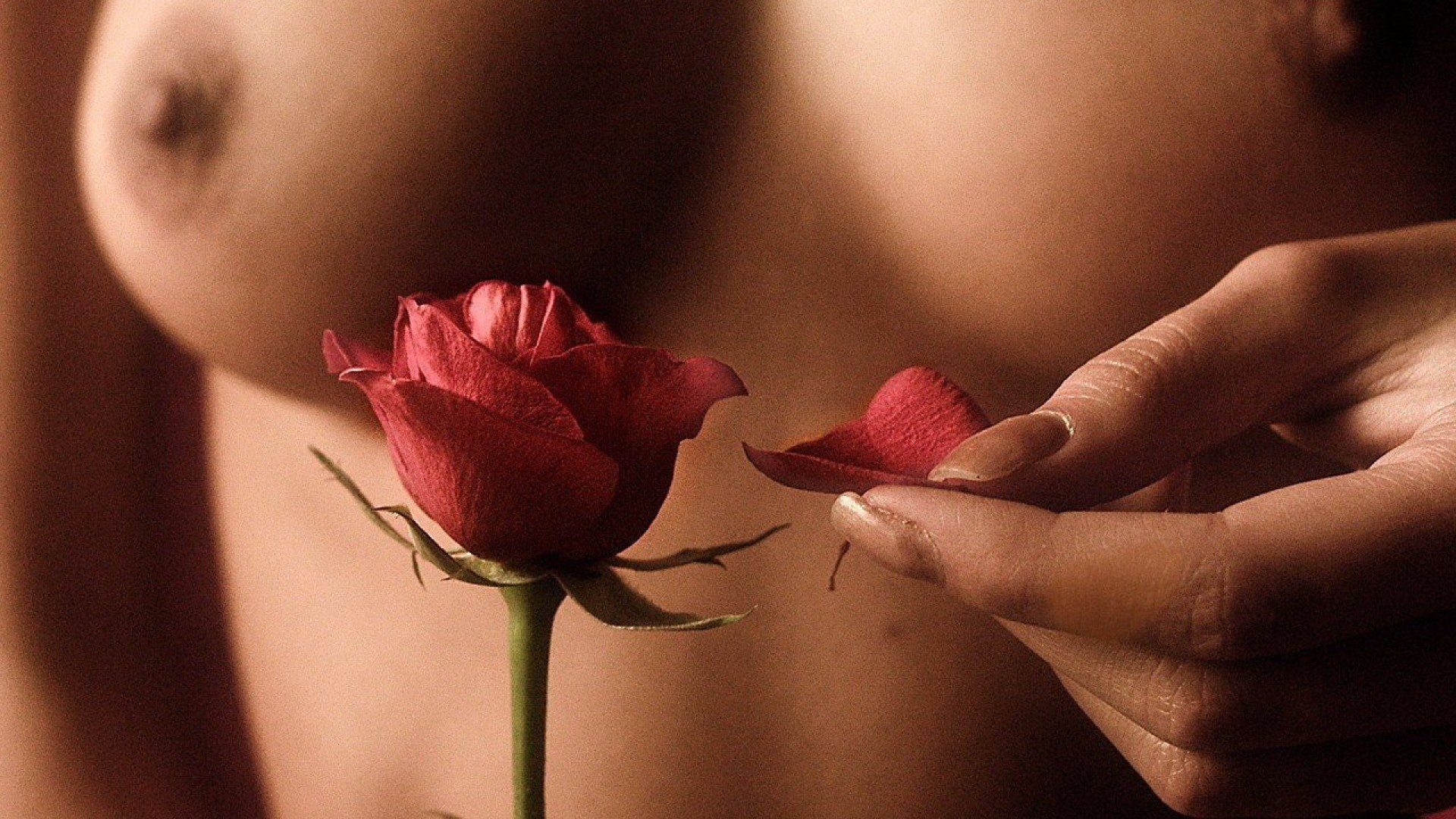 Naomi Fisher's Erotic Botanical Photographs
