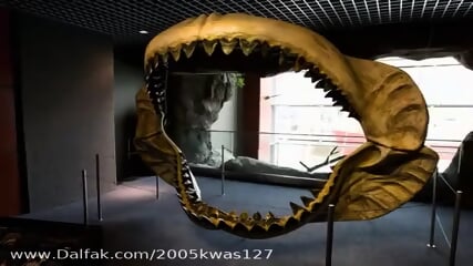 Megalodon.flv