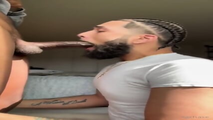 Blowjob Gay