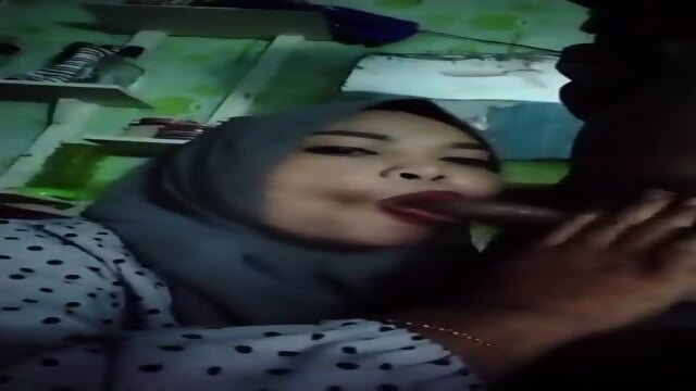 Tante kulum kontol enak banget