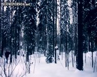 Finnish Suomipornoa Finland Scandinavia Fucks Suomipoke Seksivideo